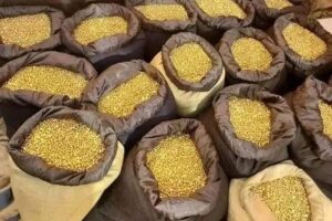 Gold nuggets