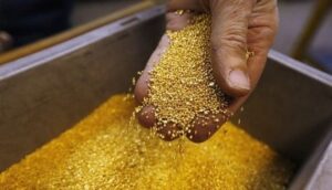 Pure Gold dust