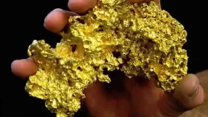 gold nuggets