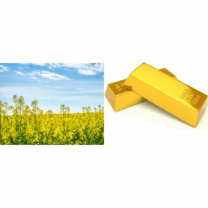 Gold vs Land Investment
