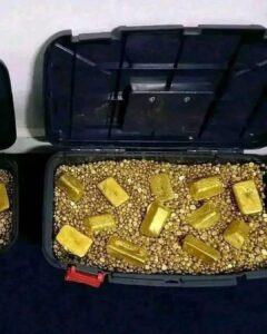 Bulk raw-gold from Congo